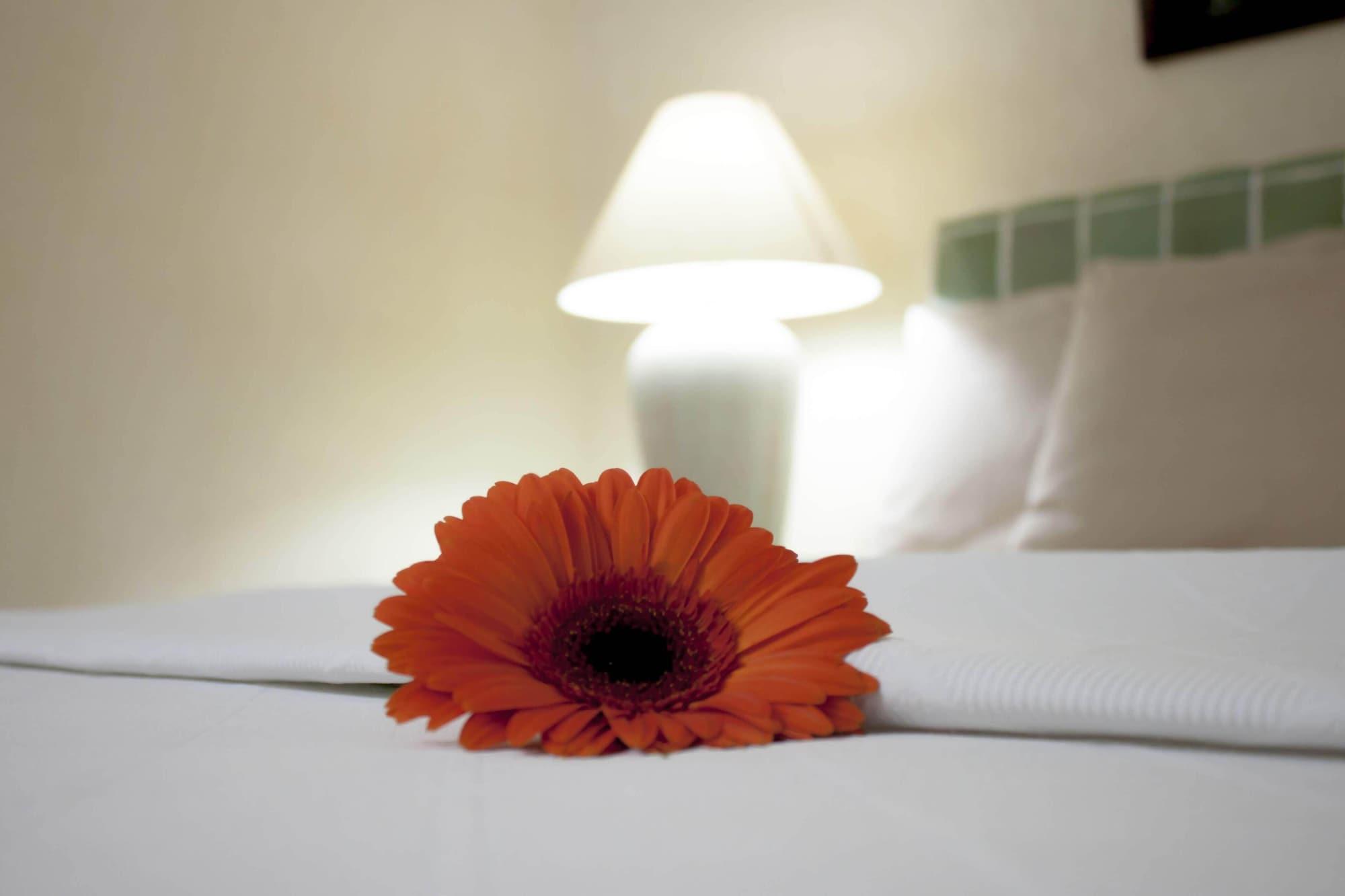 Coral Ixtapa Hotel Ixtapa  Ngoại thất bức ảnh